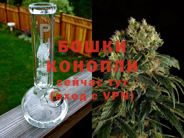 ECSTASY Вяземский