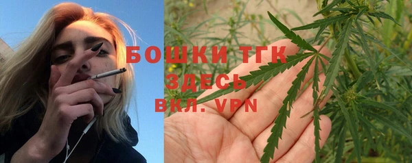 ECSTASY Вяземский