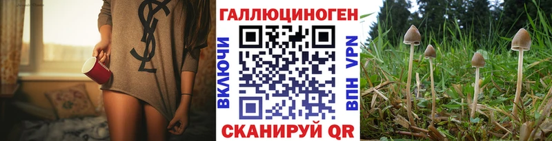гидра   Бугуруслан  Галлюциногенные грибы MAGIC MUSHROOMS 