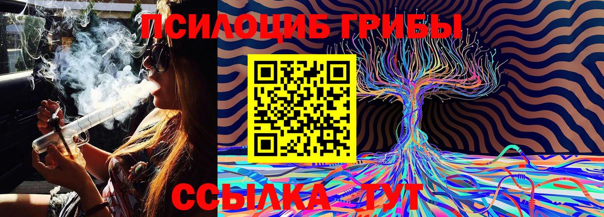 Бугуруслан  Псилоцибиновые грибы Magic Shrooms  Вход с VPN  что такое наркотик  Псилоцибиновые грибы Psilocybine cubensis 