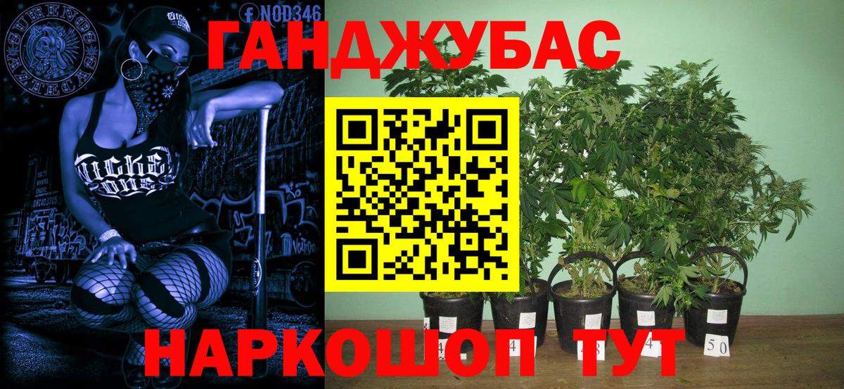 МАРИХУАНА гибрид Бугуруслан